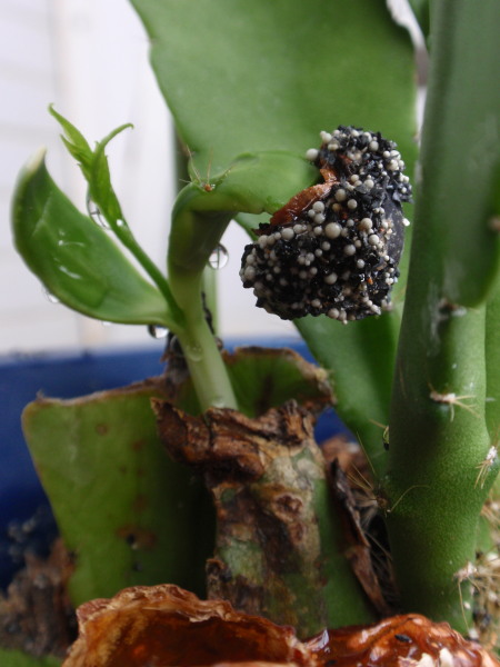 �k�������o�t