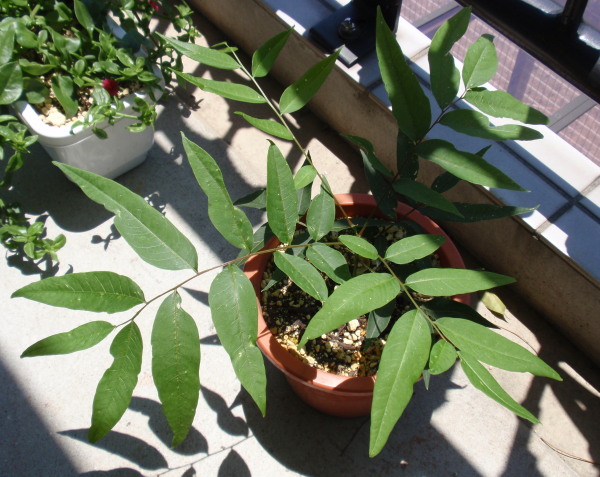 �T�T����