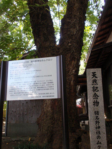 ������_�Ђނ��낶