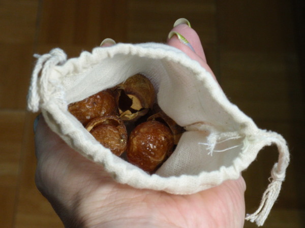 �o�b�O�Ƀi�b�c�������