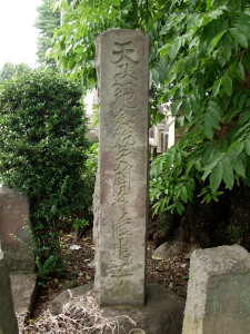 �������ނ��낶