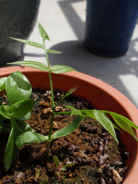 �P�P����