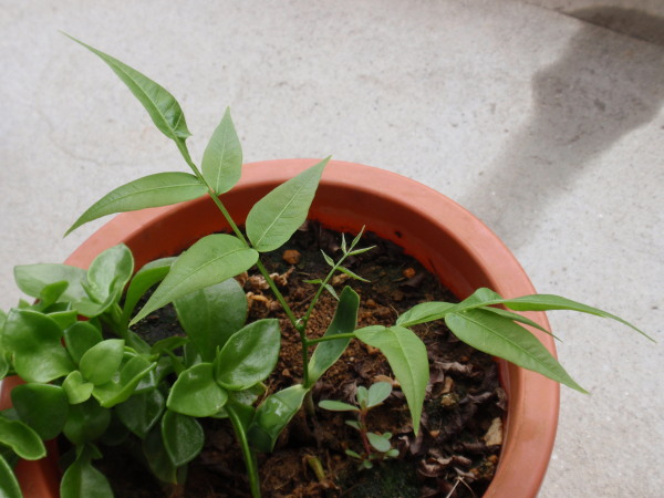 �P�R����