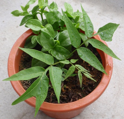 �P�W����