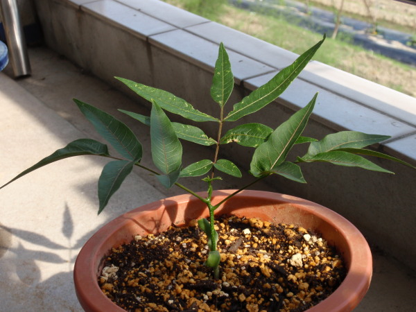 �R�R����