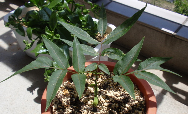 �R�W����