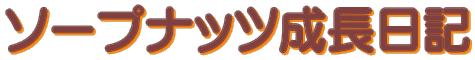 ソープナッツ成長日記