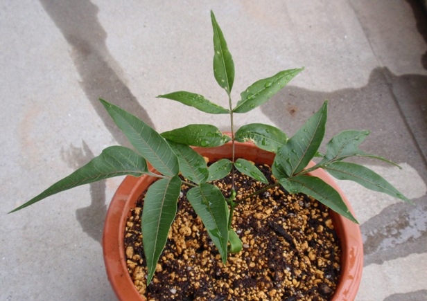 �Q�V����