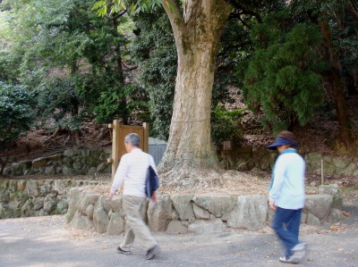 ���N���W�����グ��Q�q��