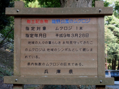 ����_�Ђނ��낶